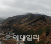 울진·삼척 등 작년 산불피해지, 자연회복 방식으로 복원