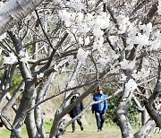 [오늘의 날씨] 제주(14일, 화)…낮밤 기온차 10도 이상