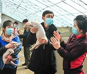 북한 "축산 많이하면 농사도 잘된다"…'순환생산체계' 구성 촉진