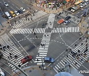 '한번에 건너는' 대각선 횡단보도 확대…내년 1종 자동 면허 나온다