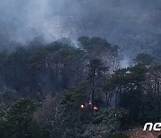 무등산 국립공원 산불 '오인 신고'…밭두렁 소각 연기 착각(종합)