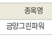 [fnRASSI]오늘의 상한가, 금양그린파워 29.9% ↑