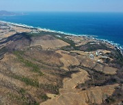 지난해 울진·삼척 산불 피해 4789㏊ 복원에 5년간 325억 투입