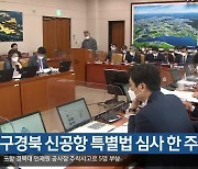 대구·경북 신공항 특별법 심사 한 주 연기