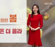 [날씨] 제주 다시 온화한 봄, 내일 기온 더 올라…낮 최고 기온 22도