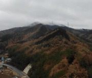 산림청, 울진·삼척지역 산불피해지 산림생태복원 추진