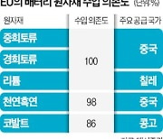 "美-EU 틈바구니서 줄타기 할 판"…국내 배터리·자동차업계는 초긴장