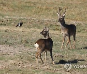 내일 남부 한낮은 20도 이상...일부 지역에 빗방울