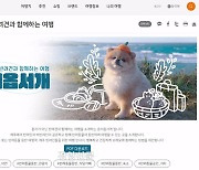 혼저옵서‘개’…반려견을 옆자리에 ‘댕댕이 제주 전세기’ 완판