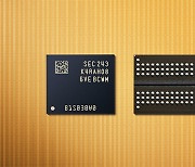 Samsung Electronics develops world’s first 12mn-class DRAM chip