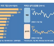 [월가월부] 현금성자산 구글 150조·MS 140조 …'부잣집' 빅테크가 뜬다