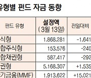 [데이터로 보는 증시]유형별 펀드 자금 동향(3월 13일)