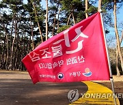 울산서 포사격 훈련 중 산불…헬기 4대 투입해 진화 중