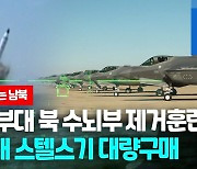 [영상] 스텔스 전투기 20대 추가도입…'400㎞ 함대공미사일' 구매