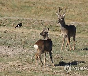 내일 남부 한낮 20도 이상…경기·강원 일부엔 비 조금