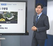 [기상센터] '산나물 같은데' 먹었다간…독초 구별법