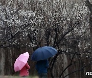 [오늘의 날씨] 경기(15일, 수)…아침과 저녁 빗방울