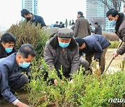 어제 '식수절' 맞은 북한, 각지서 기념식수 진행…"푸른 숲 우거지게"