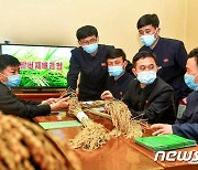 북한 "나라의 농업생산에서 큰 몫"…황해남도 조명