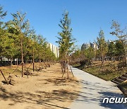 인천시, 올해 말까지 축구장 12.6개 크기 도시숲 조성