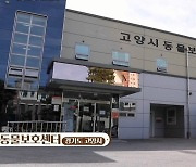 고양시 동물보호센터 4월부터 자원봉사 활동 재개