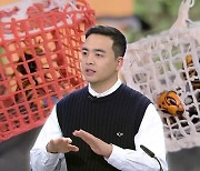[더뉴스] 말벌의 위력..."꿀벌 3만 마리 30분이면 초토화"