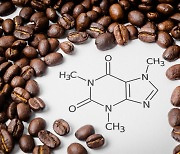 커피 속 카페인, 체지방 낮추고 제2형 당뇨병 위험 줄인다