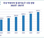 올해 국내 빅데이터·분석도구 시장 전년비 11%↑…2027년 4조 육박 전망