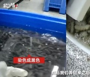 중국서 ‘해삼’ 세척에 쓴 수상한 가루… 정체는?