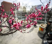 경기남부 대기 건조하고 바람 강해...낮 최고 10~16도