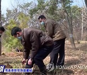 북한, 식수절 나무심기 행사