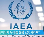 IAEA "리비아서 우라늄 원광 2.5t 사라져"