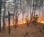 주민 200명 마을회관 대피...경북 상주, 화목보일러로 산불?