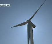 [여기는 원주] 4배 가까이 늘어난 풍력 발전…평창 주민 반발 심화