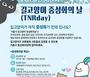 매월 셋째주 일요일은 '서울 길고양이 중성화의 날'