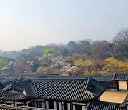 ‘봄에 보면 더 예쁜 궁궐 나들이’…창덕궁·덕수궁 주요 전각 공개