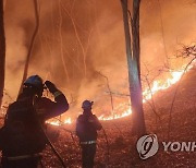 경북 상주 산불, 야간 진화 중…진화율 43％