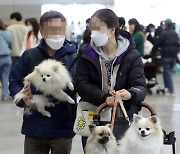 [포토] 반려견과 함께하는 전시회