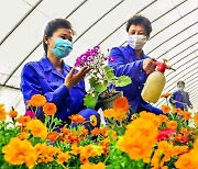꽃 가꾸는 북한 역포구역 화초사업소 "아름다워질 거리"