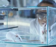 [사이언스카페] 100년 이어진 동물실험의 성차별, 과학적 근거 없다