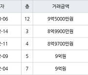 서울 개포동 개포대치2단지 33㎡ 9억5000만원에 거래