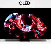 “삼성·소니 OLED TV 번인 징후 뚜렷”… 알팅스 “문제는 서브픽셀”