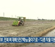 정부, 전북 벼 재배 5천7백ha 줄이기로…“다른 작물 지원”