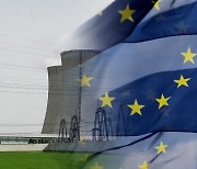 EU “보조금 받으면 입찰 제한”…원전 수출도 영향?