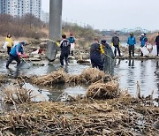 광주 황룡강서 물고기 떼죽음·집단 탈진…대체 무슨 일?