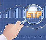 Korean investors flock to new ETFs amid bear market