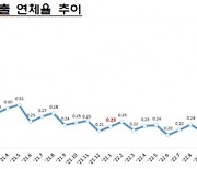 은행 연체율 20개월만에 0.3%대 진입