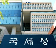 국세청, 김대일·강동훈 등 부이사관 승진 4명 발표