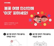 꽃구경 인파 4월 첫주에 몰린다… 선호 여행지는 어디