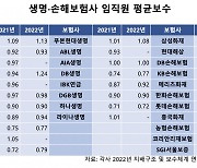 '보험도 억대 연봉 잔치'…손보사 평균연봉, 생보사 제쳤다[머니뭐니]